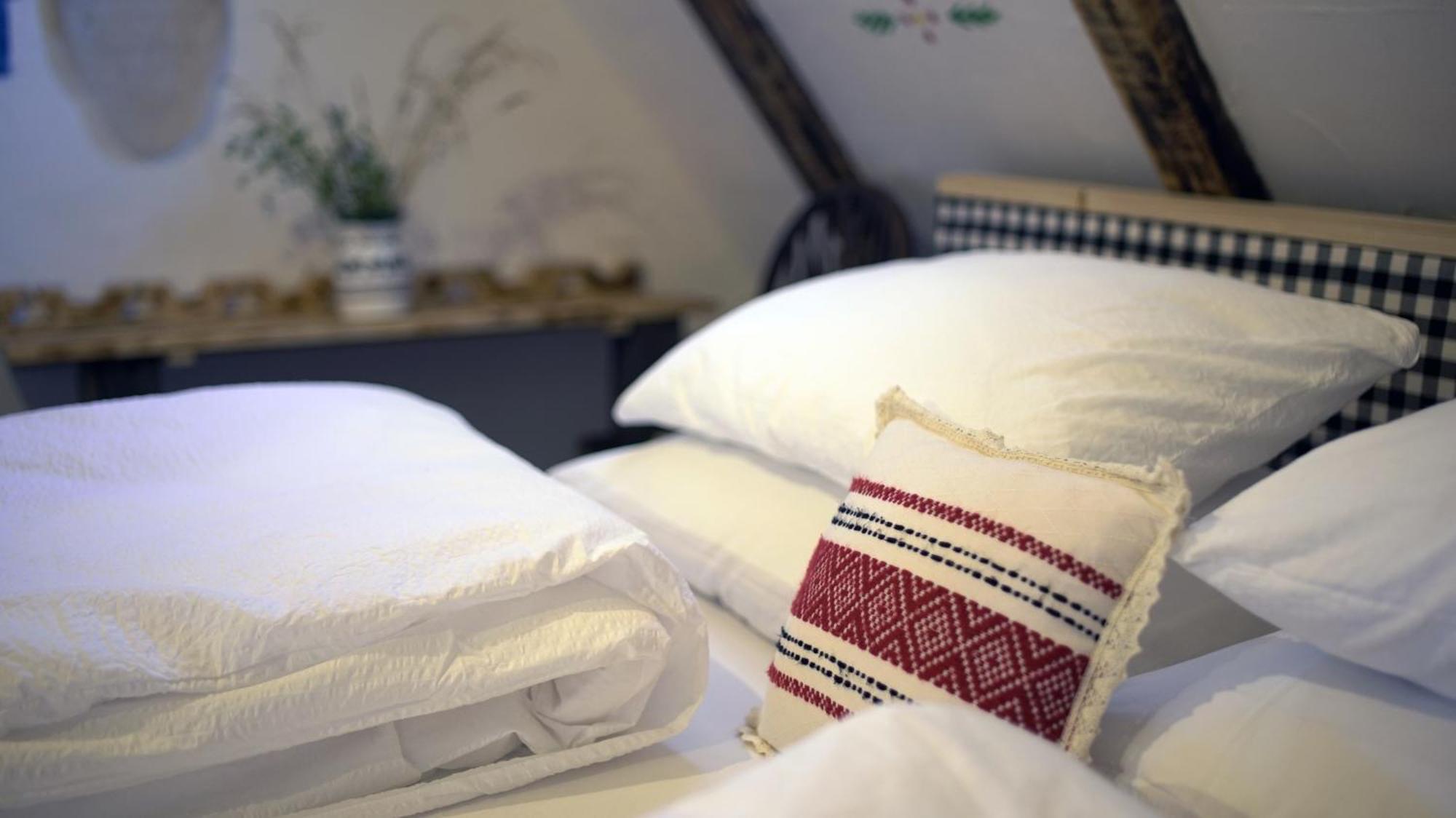 Iz De Maramures Rural Hotel (Adults Only) Surdesti  Ngoại thất bức ảnh