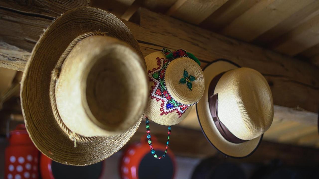Iz De Maramures Rural Hotel (Adults Only) Surdesti  Ngoại thất bức ảnh