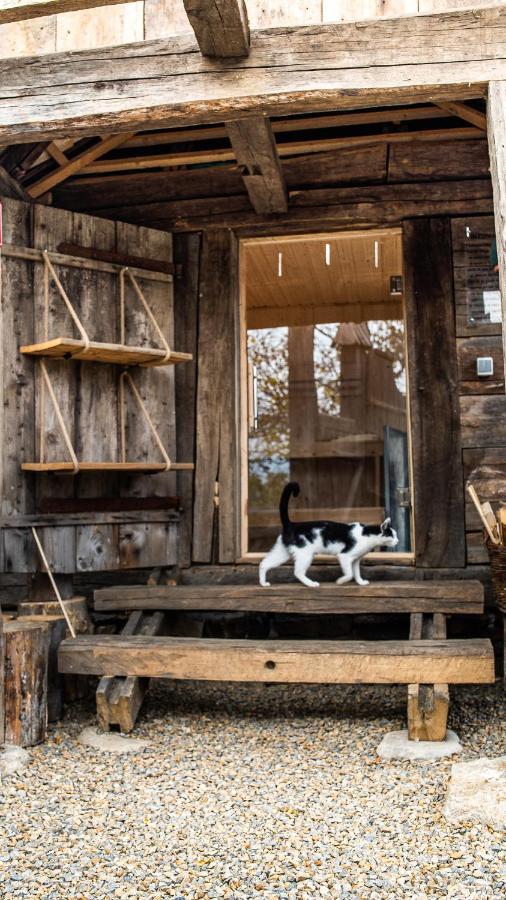 Iz De Maramures Rural Hotel (Adults Only) Surdesti  Ngoại thất bức ảnh