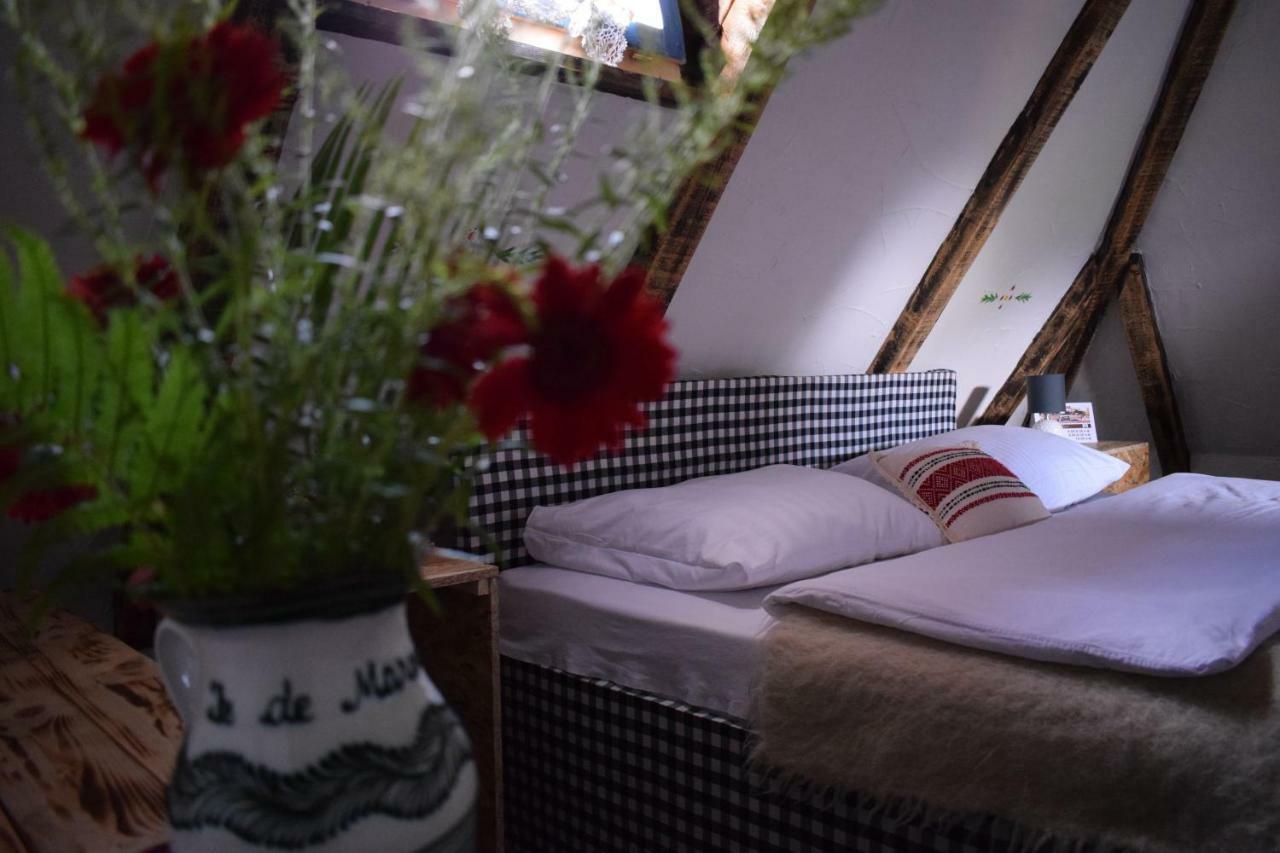 Iz De Maramures Rural Hotel (Adults Only) Surdesti  Ngoại thất bức ảnh
